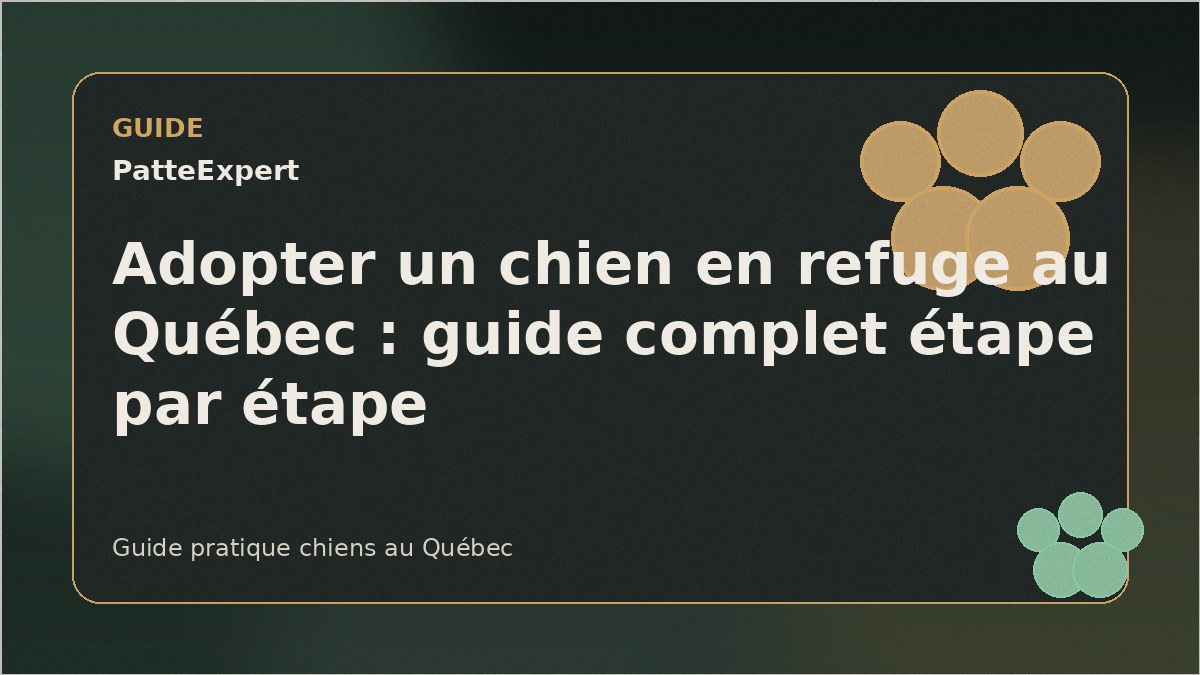 Chien de refuge attendant sa nouvelle famille au Québec