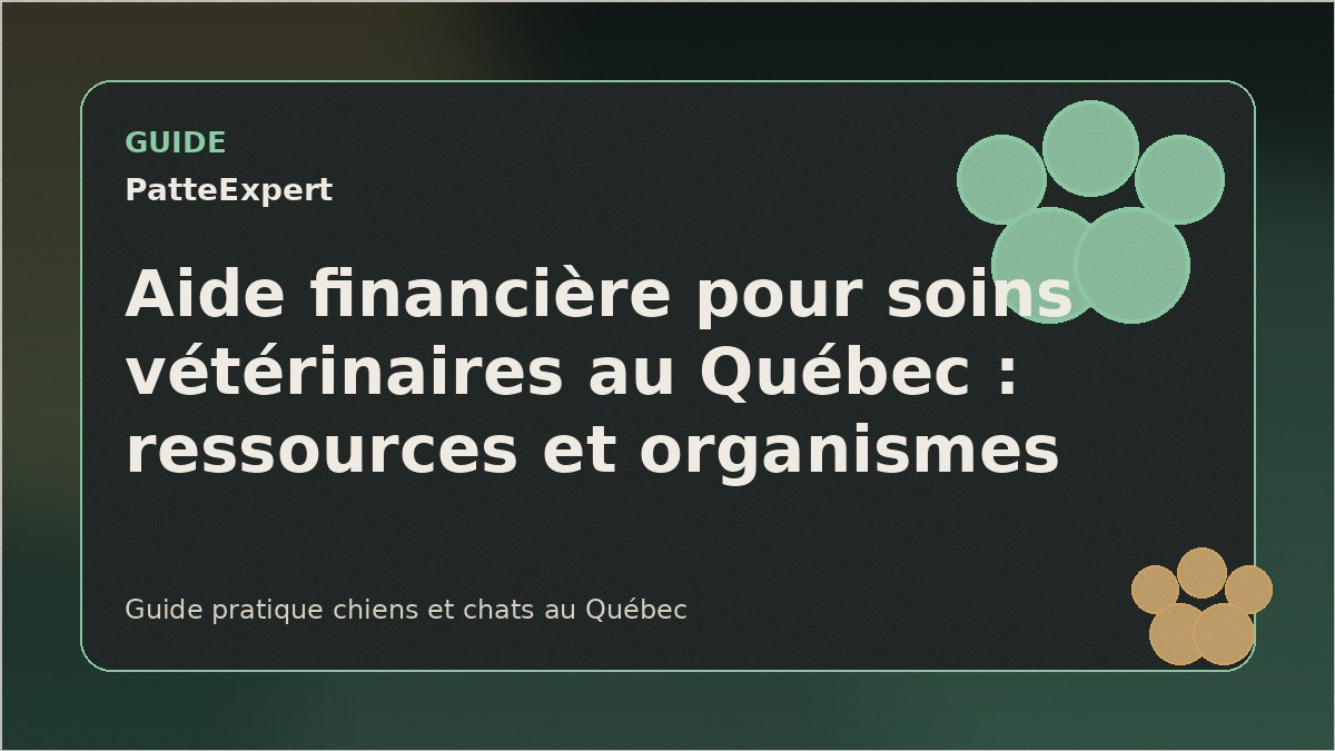 Vétérinaire examinant un chien dans une clinique au Québec