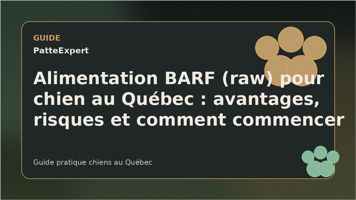 Chien dégustant un repas de viande crue fraîche dans son bol.