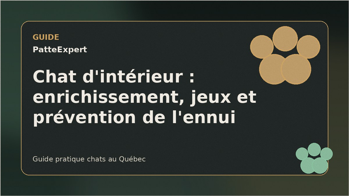 Chat jouant dans un salon