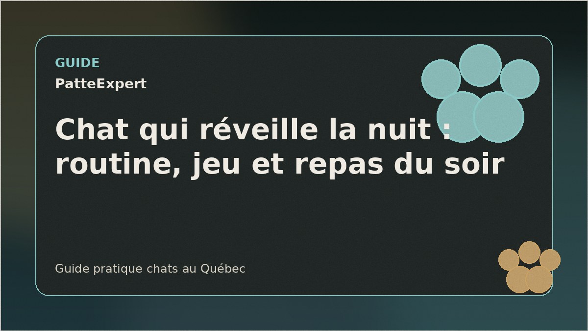 Chat éveillé la nuit dans un salon
