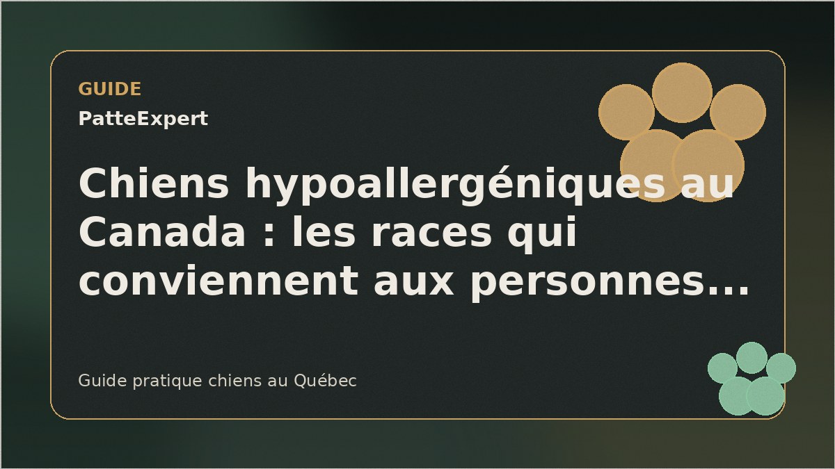 Un caniche royal blanc élégant dans un parc au Québec