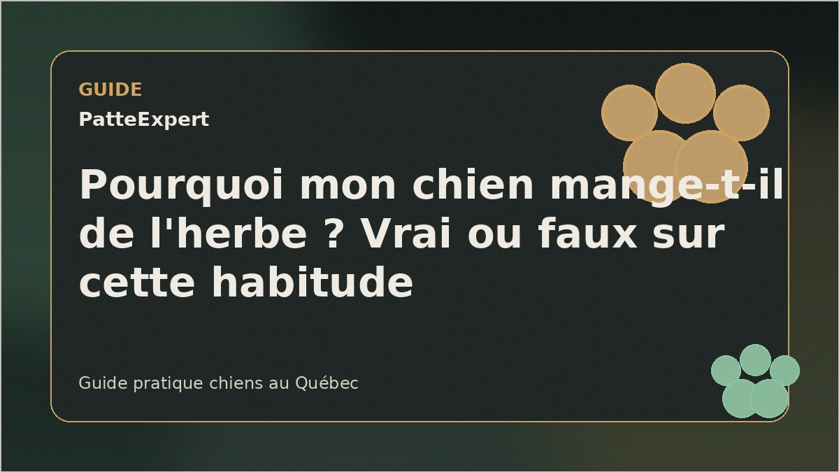 Chien de race Golden Retriever mangeant de l'herbe dans un parc