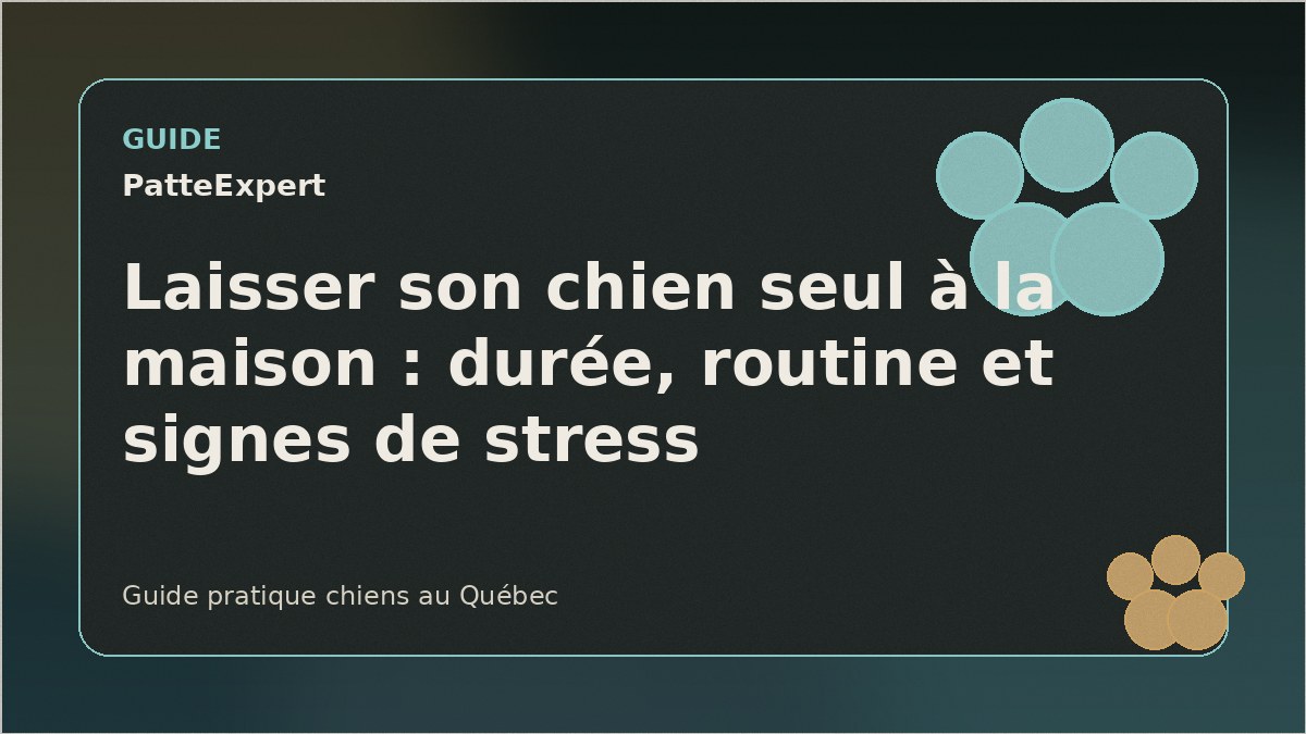 Chien calme près d'une porte