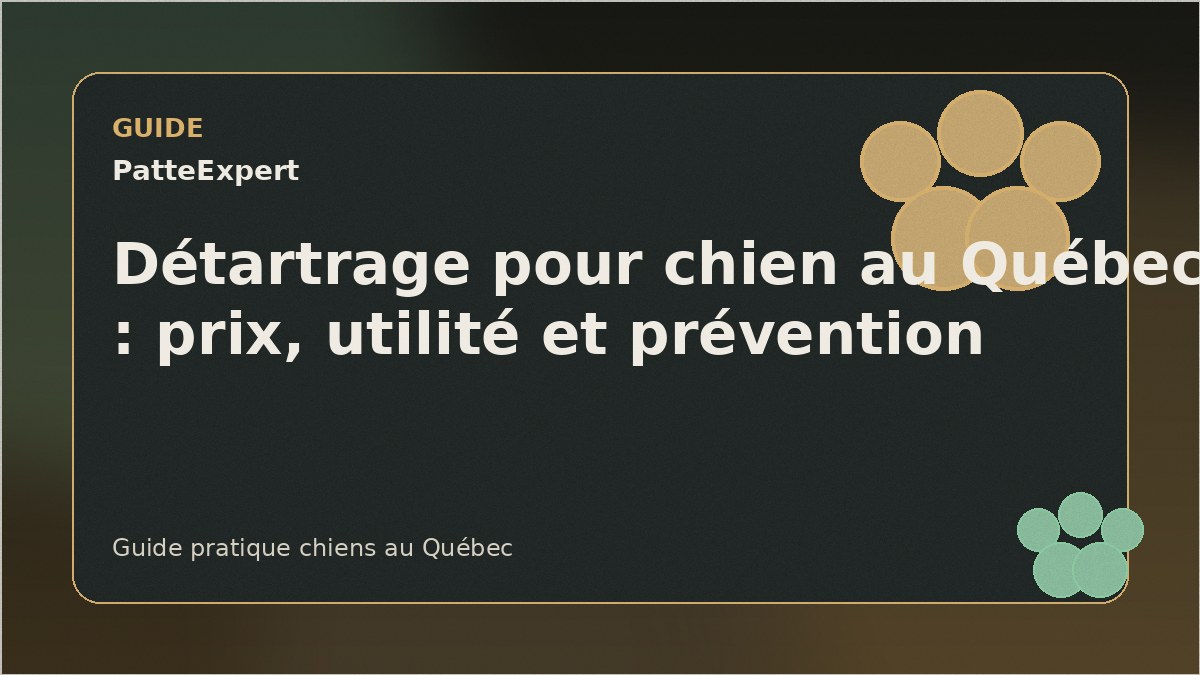 Chien pendant un contrôle dentaire
