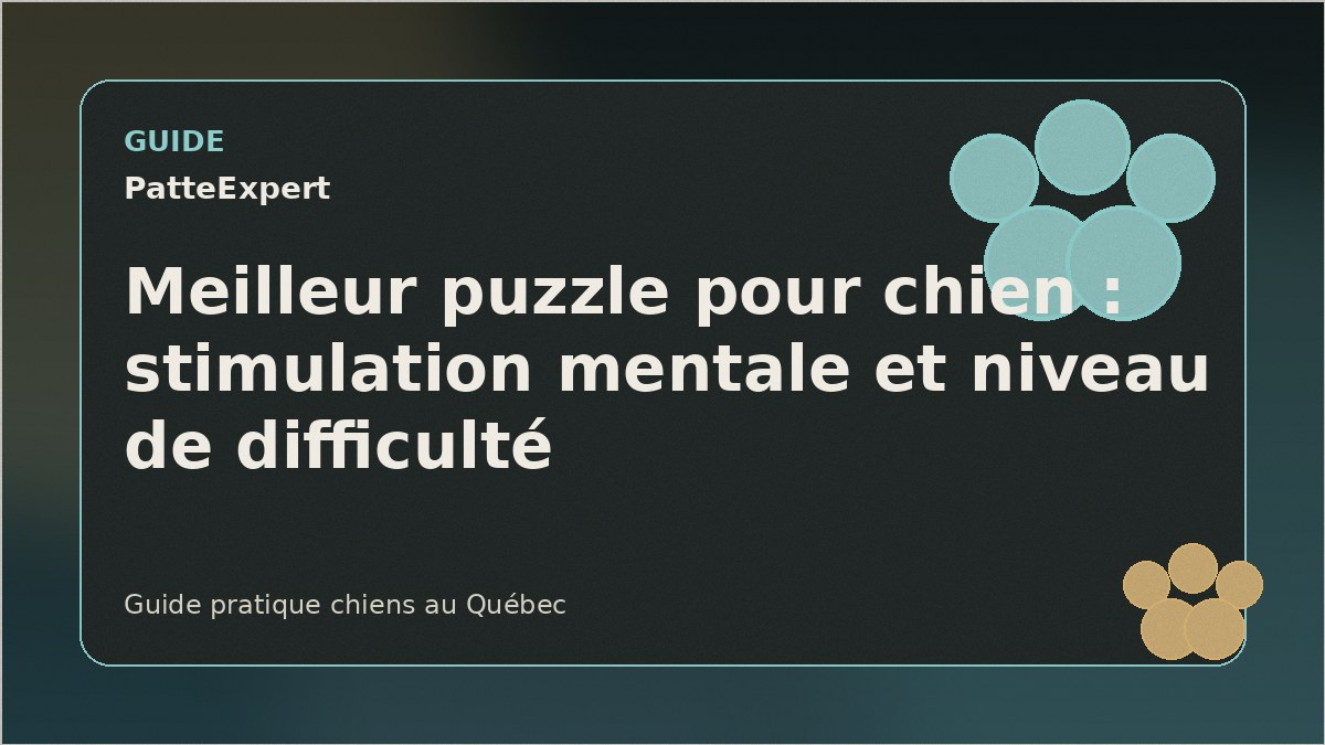 Puzzle alimentaire pour chien