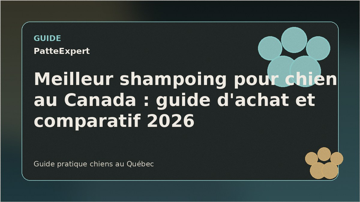 Chien mouillé heureux dans une baignoire avec de la mousse
