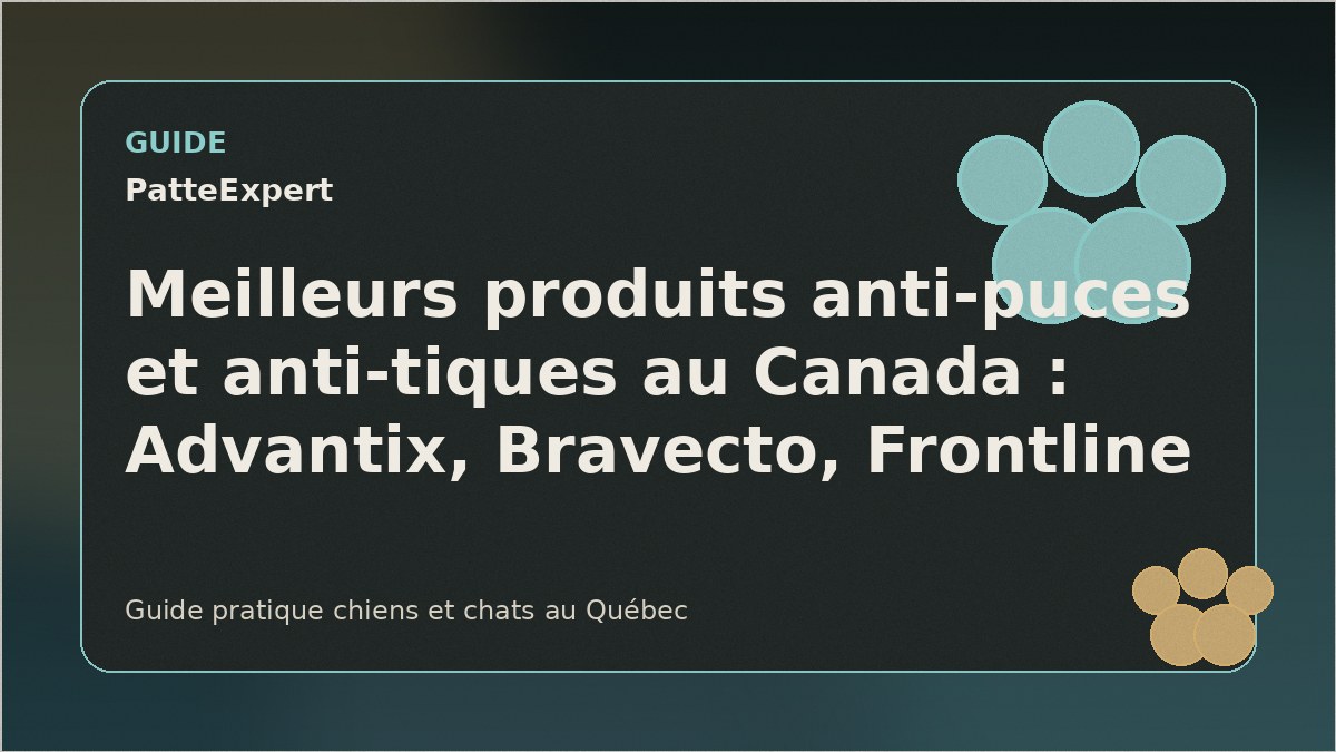 Un chien heureux dans l'herbe haute illustrant la prévention des tiques.