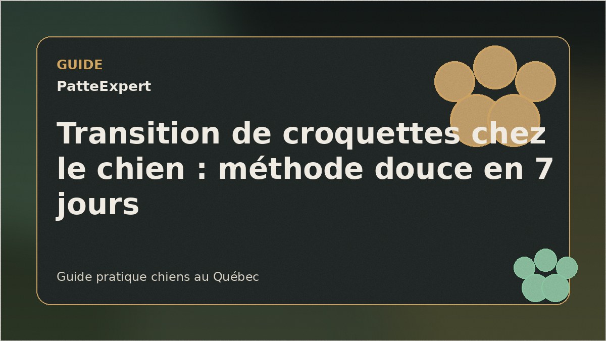 Deux bols de nourriture pour transition